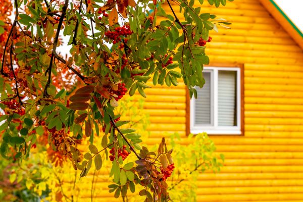 Garden Window Replacement in Dayton